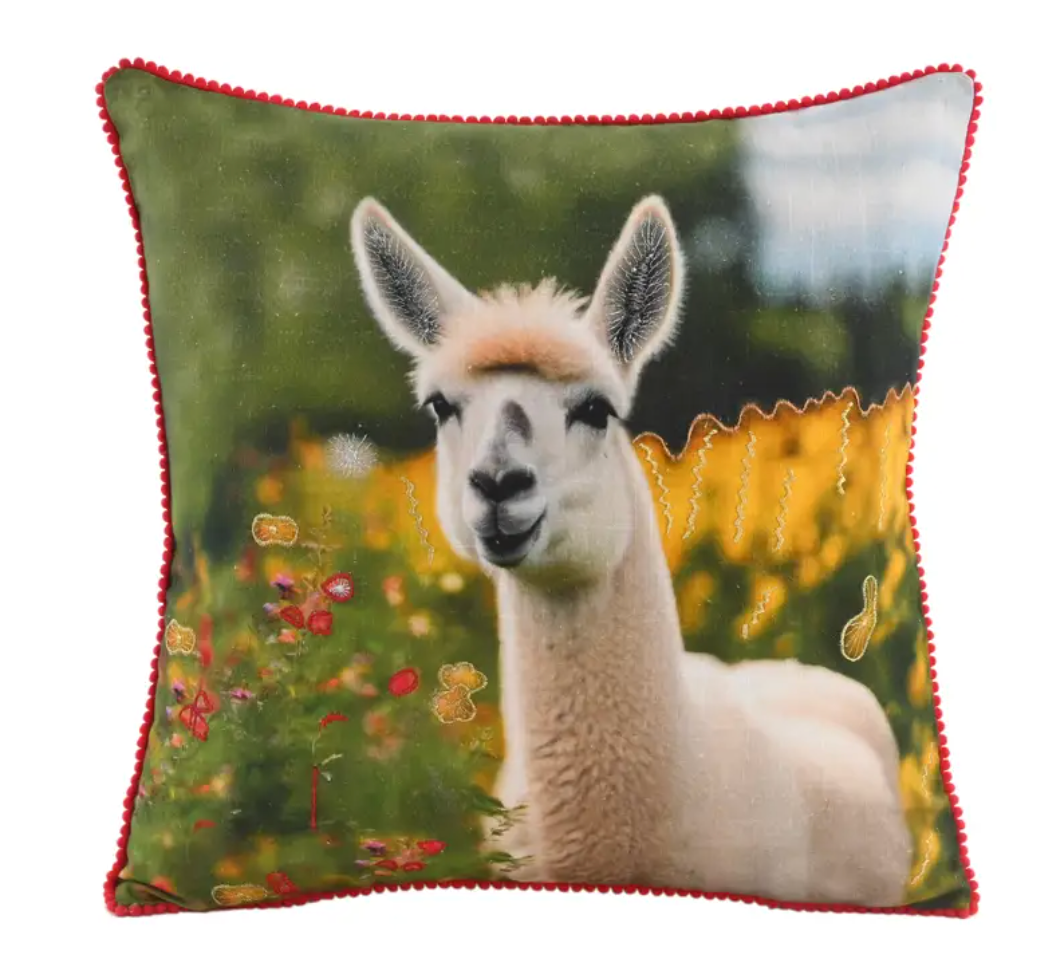 Products – Karma Living Shop